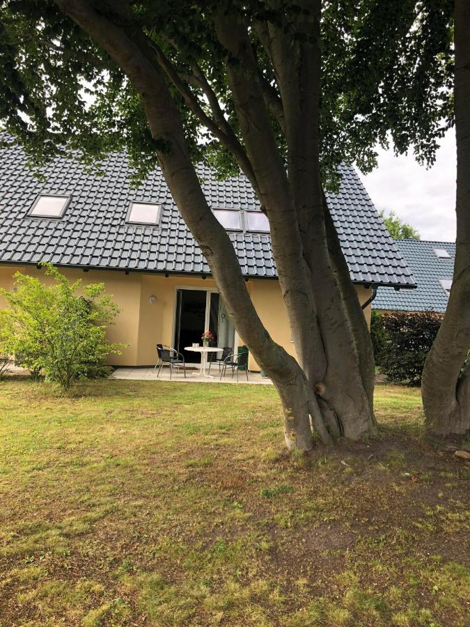 Ferienwohnung 'Bei Den Buchen' Zempin Exterior photo
